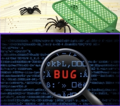 Showing a bug in Coding